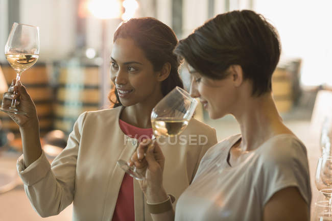 Degustação de vinhos femininos na adega — Fotografia de Stock
