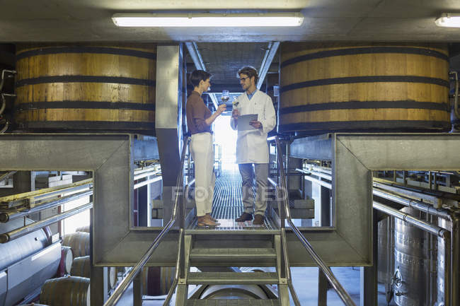 Viticoltori esaminando vino sulla piattaforma in cantina — Foto stock