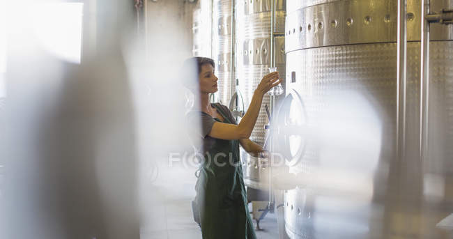 Вінтнер тестує вино з нержавіючої сталі чан у винному підвалі — стокове фото