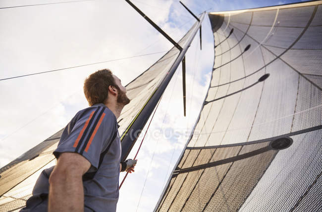Low angel view of man sailing looking up at sail — Stock Photo