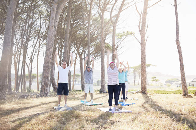 Літні люди практикують йогу в сонячному парку — стокове фото