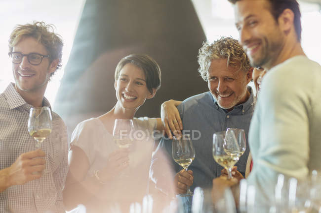 Дегустация вин друзьями в винной дегустационной — стоковое фото