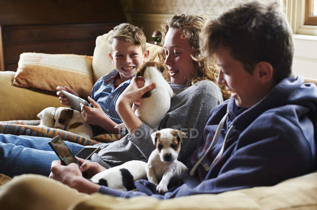 Братья и сестры держат щенков на диване — стоковое фото