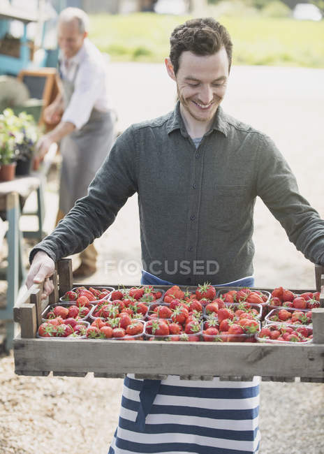 Farmer market worker carrying crate of strawberries — Stock Photo