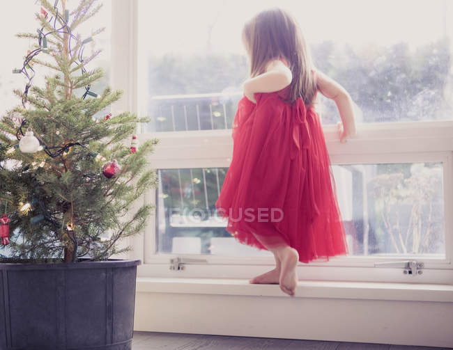 Mädchen in rotem Kleid auf Sims neben eingetopftem Weihnachtsbaum — Stockfoto