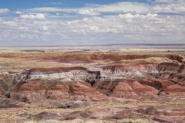 Пофарбовані пустелі скам'яніле ліс Національний парк, штат Арізона, США — стокове фото