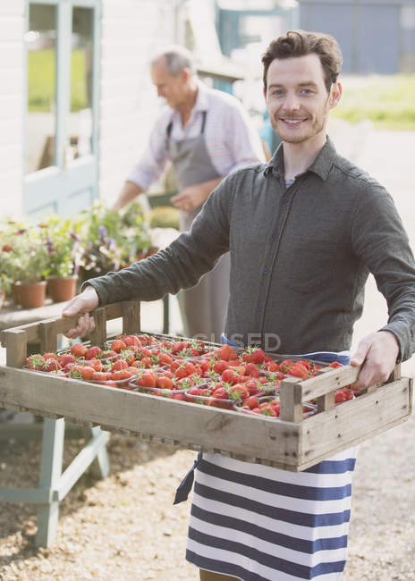 Retrato sonriente planta vivero trabajador que lleva caja de fresas - foto de stock