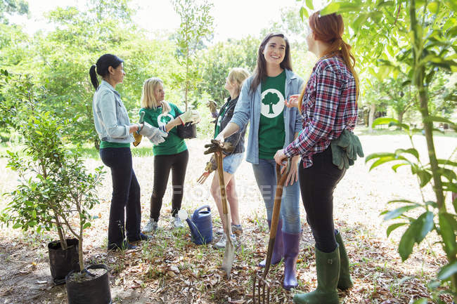 Voluntarios ambientalistas plantando nuevo árbol - foto de stock