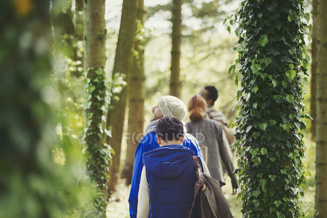 Amici escursioni tra gli alberi ricoperti di edera nei boschi — Foto stock