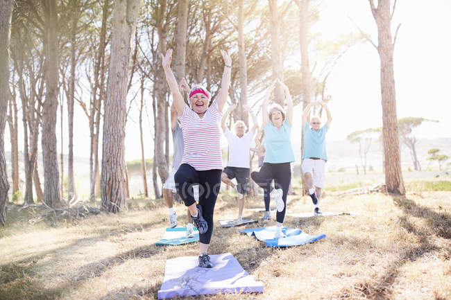 Adultos idosos praticando ioga no parque ensolarado — Fotografia de Stock
