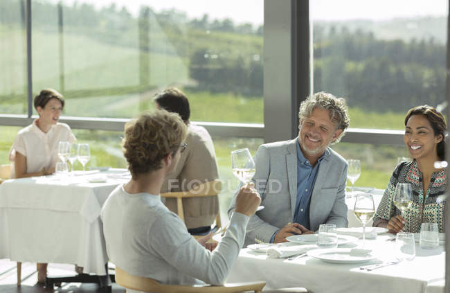 Amigos bebiendo vino y hablando en bodega comedor - foto de stock