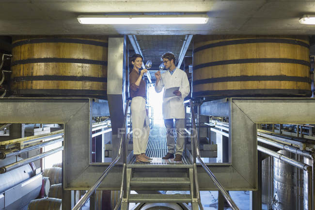 Vintners examining wine on platform in winery cellar — Stock Photo