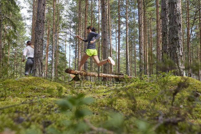 Läufer springt im Wald über umgestürzten Baumstamm — Stockfoto