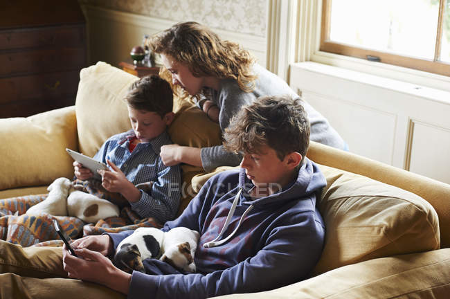 Братья и сестра с помощью цифрового планшета и мобильного телефона с щенками на коленях — стоковое фото