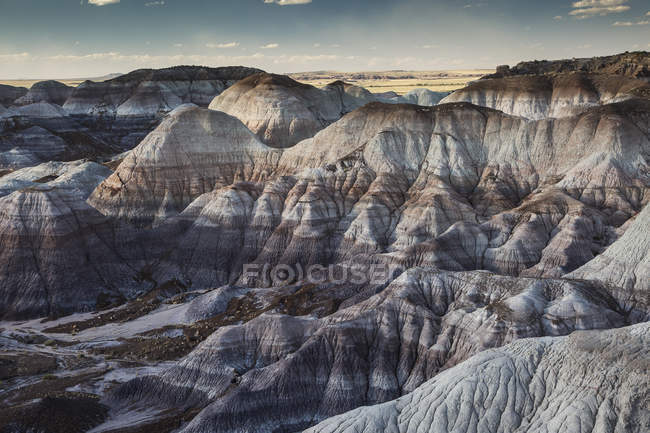 Blue Mesa versteinerter Wald Nationalpark, arizona vereinigte Staaten — Stockfoto