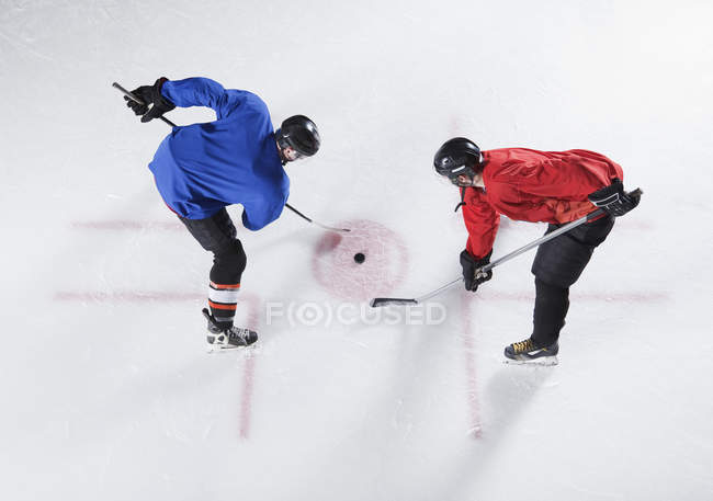 Hockey opponents in opening face off — Stock Photo