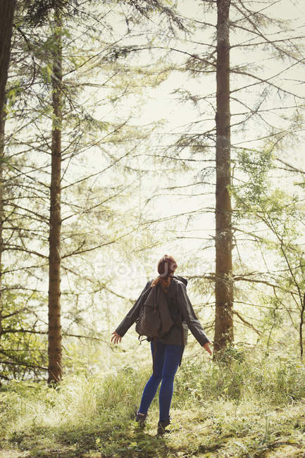 Жінка з рюкзаком дивиться на дерева в сонячному лісі — стокове фото