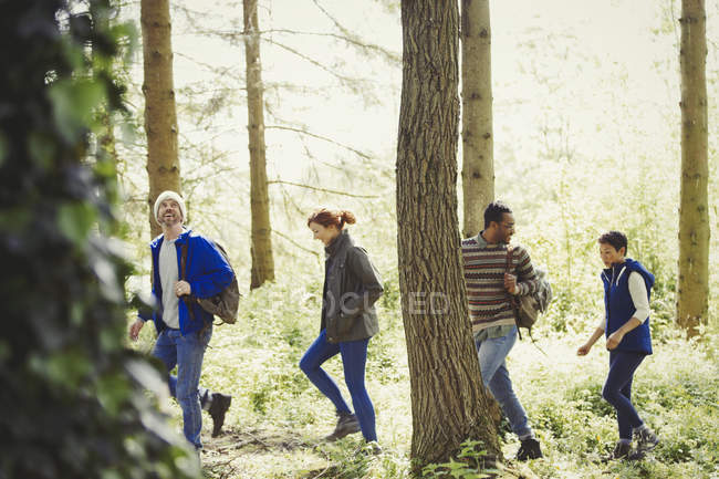 Friends hiking  in sunny woods — Stock Photo