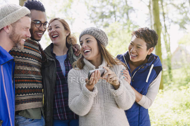Усміхнені друзі ходять по мобільному телефону в лісі — стокове фото