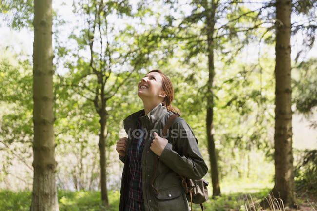 Усміхнена жінка, що гуляє, дивлячись на дерева в сонячному лісі — стокове фото
