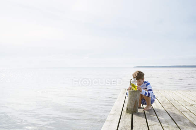Boy examining seaweed in jar on sunny lakeside dock — Stock Photo