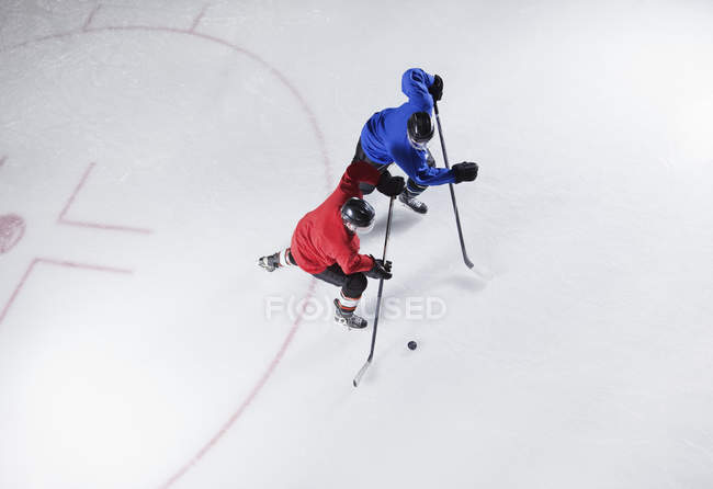 Jugadores de hockey van a por el disco en el hielo - foto de stock