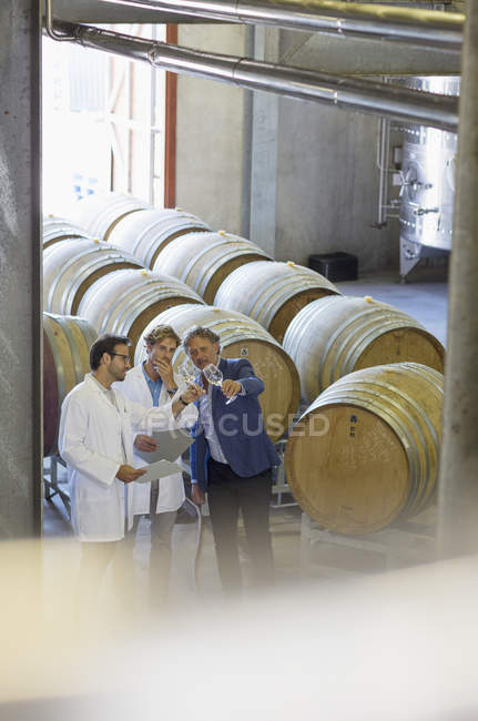 Vintners examinando el vino en bodega - foto de stock