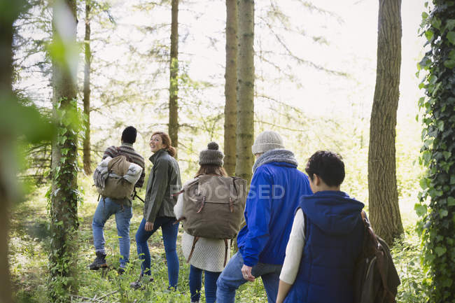 Amigos de senderismo en el bosque - foto de stock