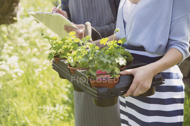 Trabalhadores de viveiro de plantas com prancheta e vasos de plantas — Fotografia de Stock