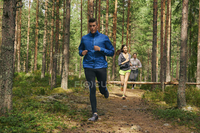 Corredores correndo em trilha na floresta — Fotografia de Stock
