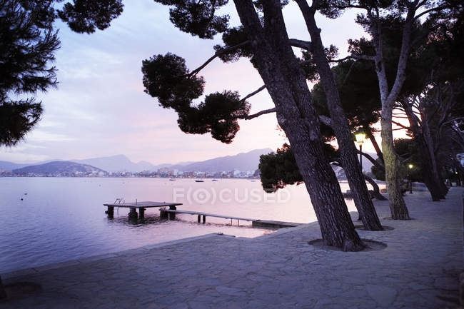View of huge trees and empty jetty in bay with mountains in background — Stock Photo
