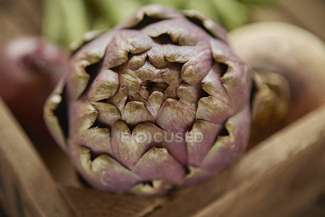 Nature morte gros plan frais, bio sain artichaut violet — Photo de stock
