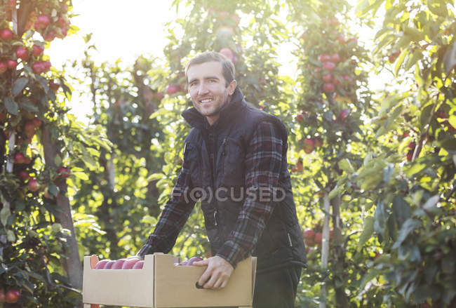 Портрет улыбающегося фермера, собирающего яблоки на заводе по переработке пищевых продуктов — стоковое фото