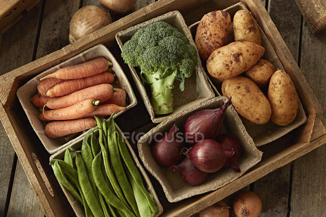 Bodegón fresco, orgánico, cosecha vegetal saludable variedad en caja de madera - foto de stock
