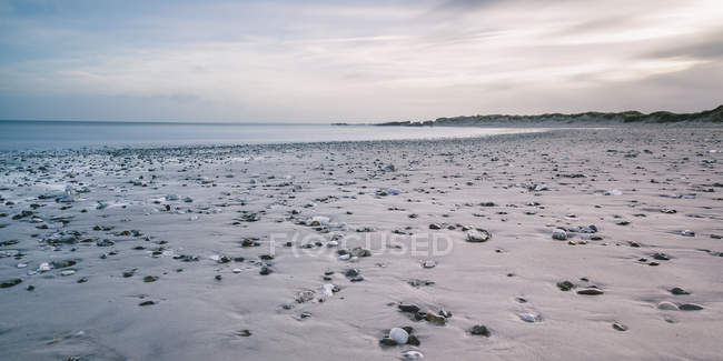 Rocas en la tranquila playa gris, Vigsoe, Dinamarca - foto de stock
