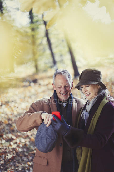 Grand-parents utilisant un téléphone cellulaire dans le parc d'automne — Photo de stock