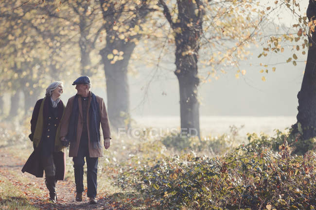 Senior couple holding hands walking in sunny autumn park — Stock Photo