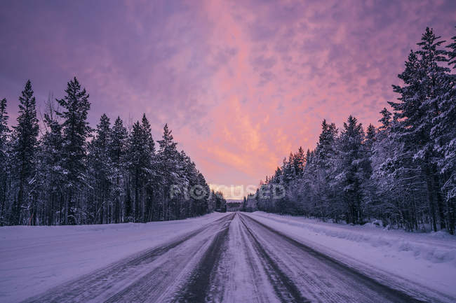 Carretera de invierno remota a través de árboles forestales cubiertos de nieve contra el dramático cielo púrpura y rosa, Laponia, Finlandia - foto de stock