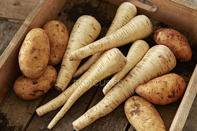 Still life fresh, organic, healthy, rustic, dirty parsnips and potatoes in wood crate — Stock Photo