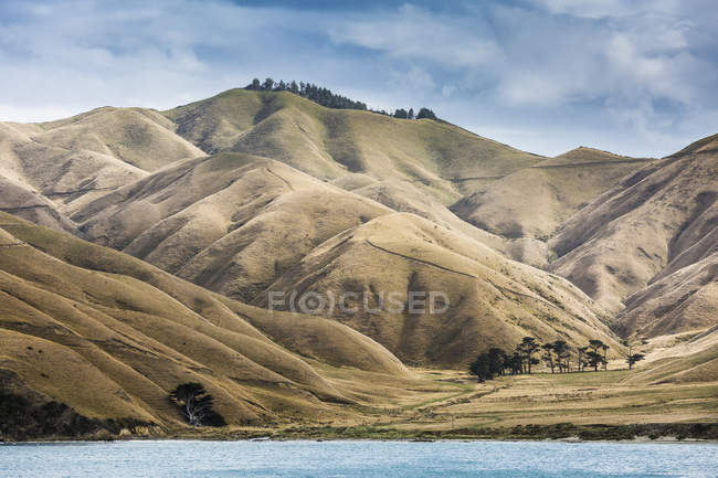 Montañas áridas, Marlborough Sounds, Isla Sur Nueva Zelanda - foto de stock