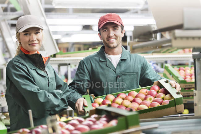 Портрет усміхнених робітників з коробками червоних яблук на харчовому заводі — стокове фото