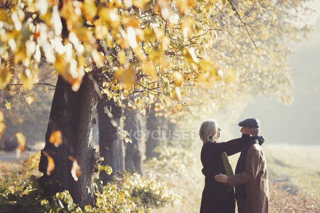 Casal afetuoso no ensolarado parque de outono — Fotografia de Stock