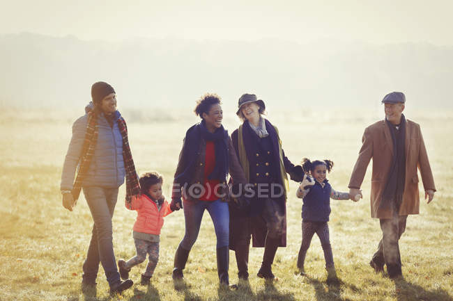 Семья из нескольких поколений держалась за руки, гуляя по солнечной осенней траве — стоковое фото