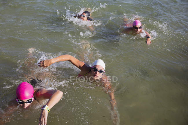 Overhead view of Female active swimmers at ocean outdoors — Stock Photo