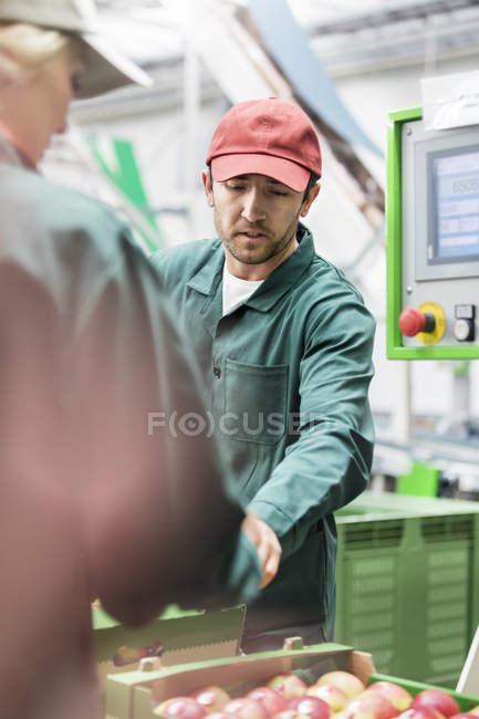 Trabajadores examinan manzanas en planta de procesamiento de alimentos - foto de stock
