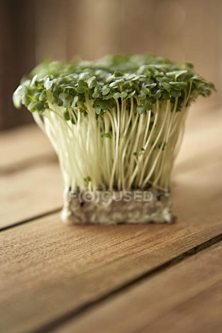 Натюрморт крупным планом свежий, органический, здоровый зеленый кайвовый Daikon ростки — стоковое фото