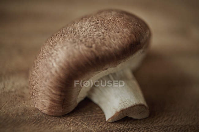Still life close up fresh, organic, healthy brown mushroom, texture — Stock Photo