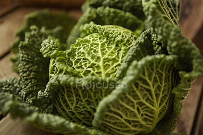 Still life close up fresh, organic, healthy green savoy cabbage, texture, pattern — Stock Photo