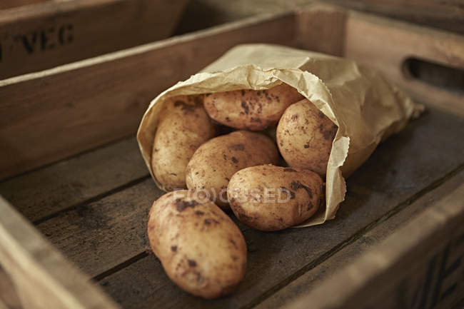 Bodegón primer plano rústico patatas sucias frescas, orgánicas y saludables en bolsa en caja de madera - foto de stock