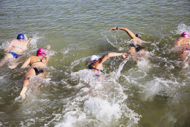 Overhead view female open water swimmers swimming in sunny ocean — Stock Photo